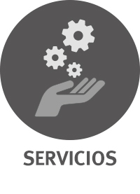 Servicios