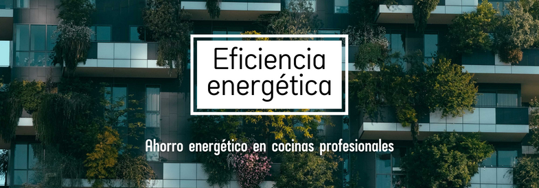 eficiencia energética